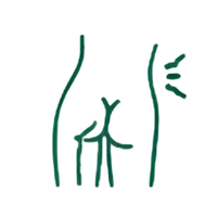 Sciatica