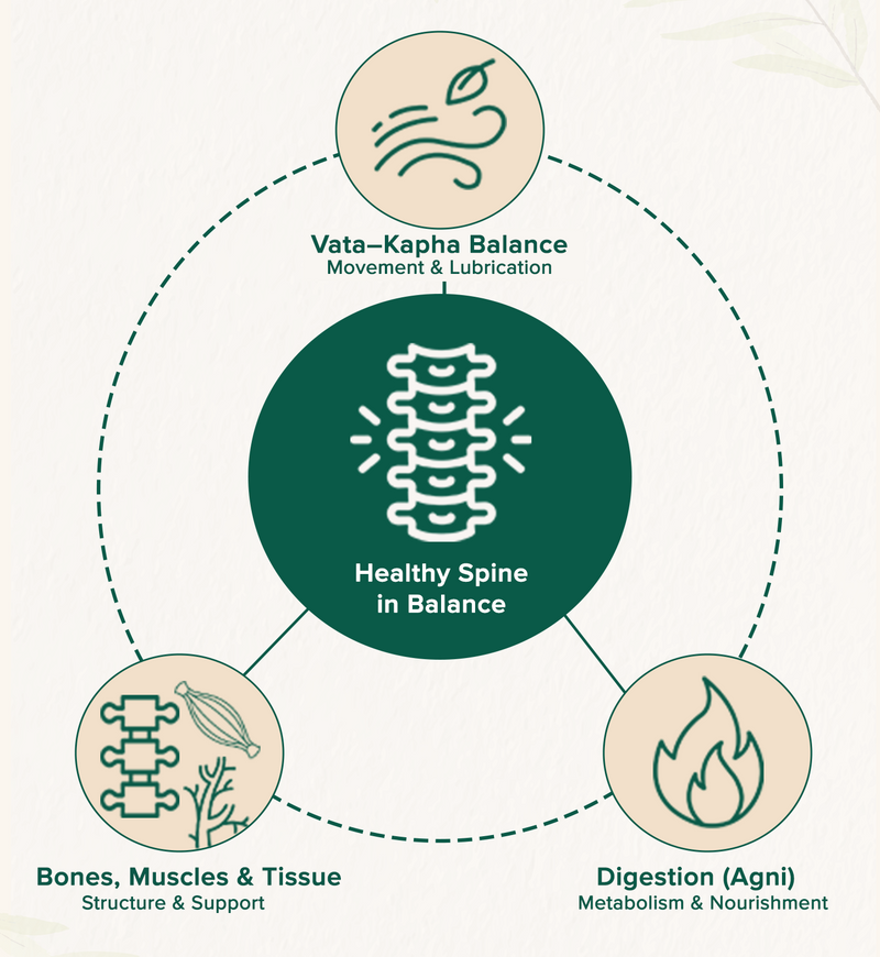 Ayurvedic diagram