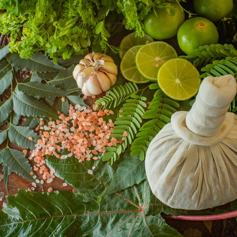 Potli Massage (Kizhi Therapy) – Ayurvedic Herbal Poultice Massage for Pain Relief