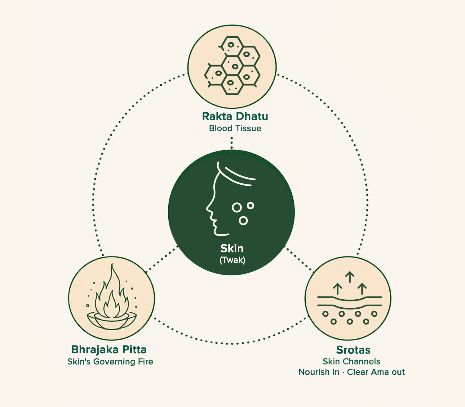 A connected system in balance